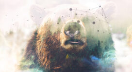 Grizzly bear Forest Double Exposure 4K5071518985 272x150 - Grizzly bear Forest Double Exposure 4K - Maller, Grizzly, Forest, Exposure, Double, Bear